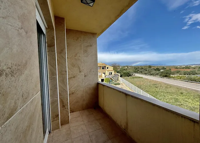 Olivos - Peñíscola